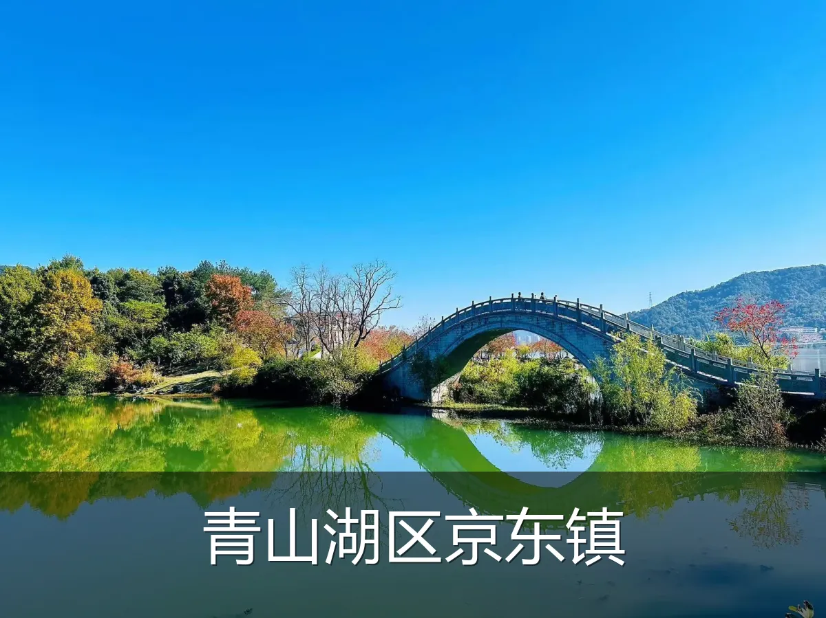 青山湖区京东镇